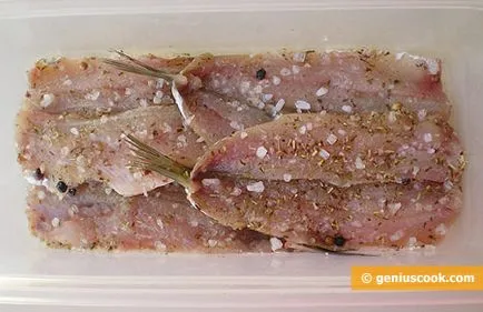 sardine picante sărate, fructe de mare și pește, de gătit genial - rețete pentru gustoase și