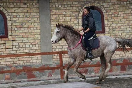 Сайт Клуб по конен спорт