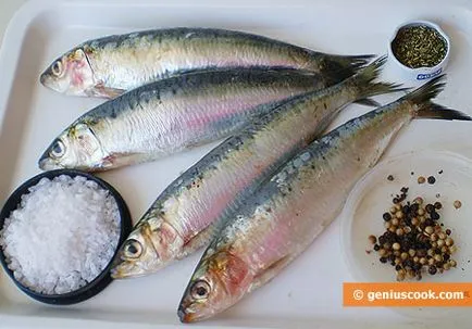 sardine picante sărate, fructe de mare și pește, de gătit genial - rețete pentru gustoase și