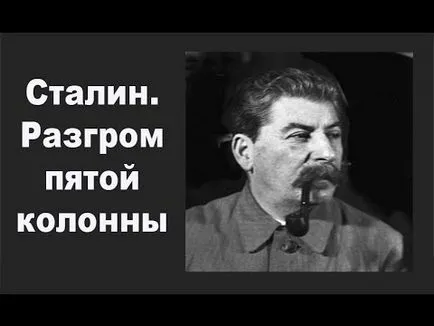 Тайната територия №42-котки шпиони от космоса, за да