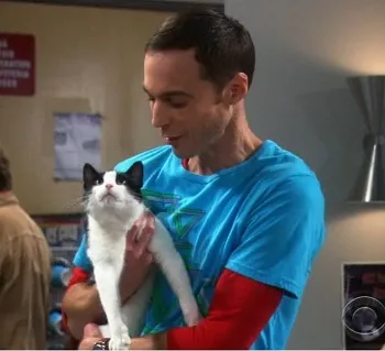 Sheldon és macskák (a TV sorozat The Big Bang Theory) - október 21, 2010