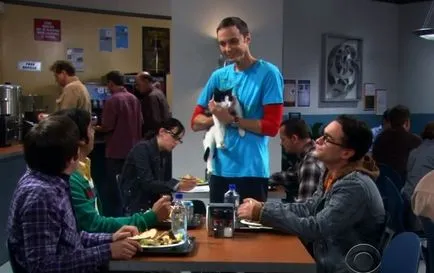 Sheldon és macskák (a TV sorozat The Big Bang Theory) - október 21, 2010