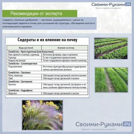 Въртенето на зеленчукови култури в сайта на страната, на масата - за подробности!