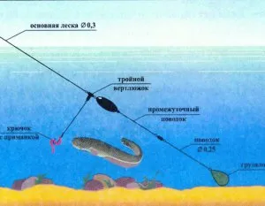 Tackle pentru pescuitul de somn de la banca cum să facă o aborda pentru pescuit de fund, foto, video