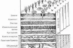 Плевелите в начините, по които страни да се справят с бодли, крава пащърнак, мокрици и шарлатанин трева