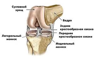 prejudiciu de sport genunchi