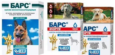 Remediul pentru purici pentru caini si catei de a alege cele mai bune si eficiente medicamente