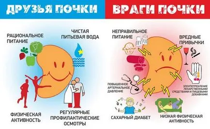 спестяване на бъбреците бъбречна недостатъчност при диабет