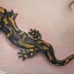 Salamander татуировка означава, снимки и скици