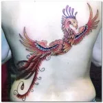 tatuaj 9 valori Phoenix, 49 de fotografii și schițe de cele mai bune