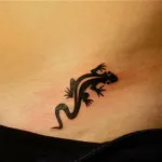 Salamander tatuaj sensul fotografii și schițe