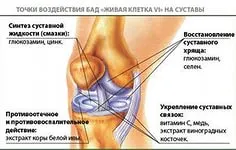 Игрални статии за здраве, правилното лечение на заболявания - лекарства за лечение на ставите