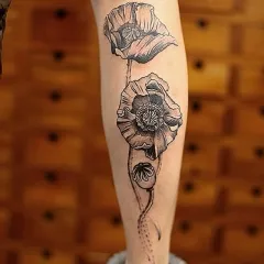 Tatuaj de mac - ceea ce înseamnă schițe tatuaj și fotografii