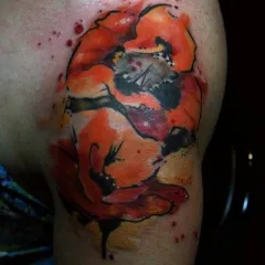 Tattoo mák - azaz tetoválás vázlatok és fényképek