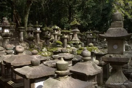 Hagyományos japán kertészet