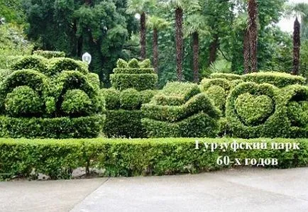 Topiary градина, Topiary собствените си ръце, полезни съвети, да правят свои ръце