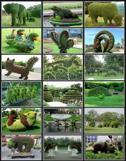 Topiary градина, Topiary собствените си ръце, полезни съвети, да правят свои ръце