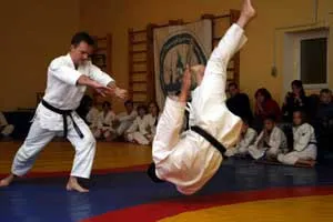 Ukemi aikido Yoshinkan