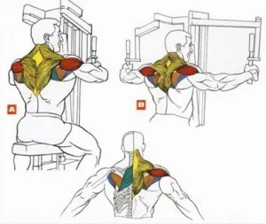 Exerciții pe mușchii centura scapulară