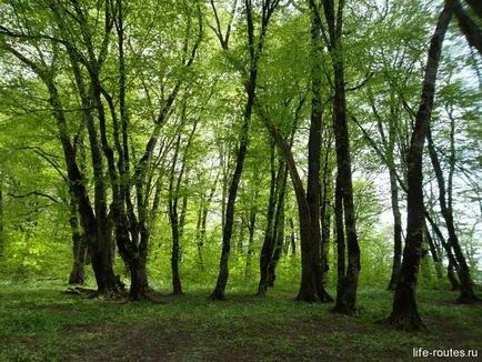 natura uimitoare a teritoriului Krasnodar