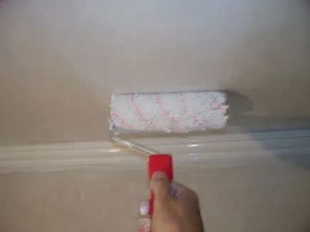 Instrucțiuni Roller Wallpaper pentru utilizare, cum să picteze de acoperire pentru pictura, video și fotografii