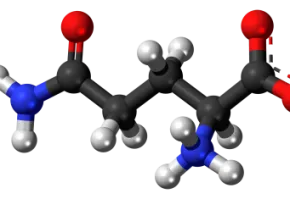 Какво храни съдържа глутамин 1