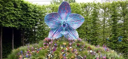 Chelsea Flower Show - 2013