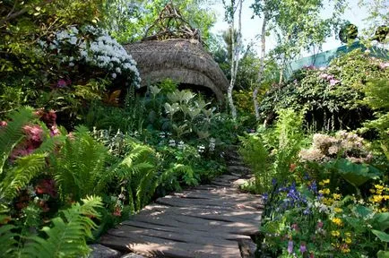 Chelsea Flower Show - 2013