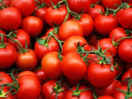 Cultivarea tomate în câmp deschis video, tehnologie, de îngrijire, soiuri