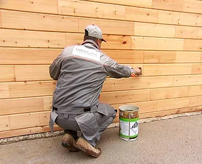Festés házának furnérfa használati szerkezet festéssel saját kezét (fotó és videó)