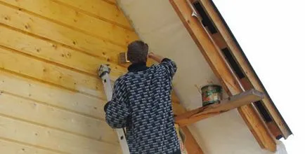 Festés házának furnérfa használati szerkezet festéssel saját kezét (fotó és videó)