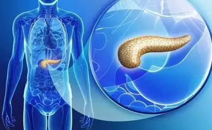 Pancreasul este crescută într-un copil cauze, diagnostic, tratament