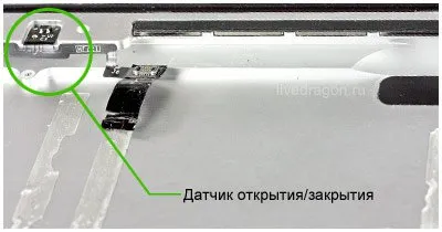 Аутопсия разкри синтактична IPAD 2, softmixer