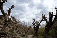 Hayat - Ukhum - excursie în jurul Munților Nurata 26-28 martie 2010