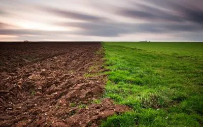 Pământul - rolul solului în natura și viața umană