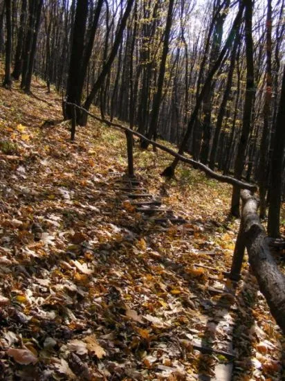 Reserve Medobory (Medobory - látnivalókban, érdekességek)