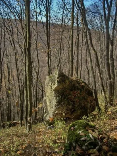 Reserve Medobory (Medobory - látnivalókban, érdekességek)