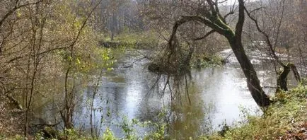 Rezerva Medobory (Medobory - puncte de interes pentru a vedea, locuri de interes)