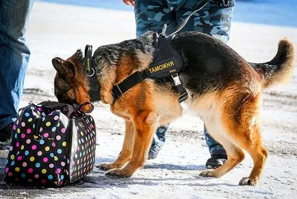 Миризмата на марихуана, за да се отърве от него