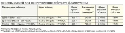 Еноки гъби растат на балкона в