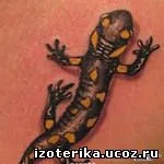 Jelentése tattoo „szalamandra”