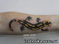 Jelentése tattoo „szalamandra”