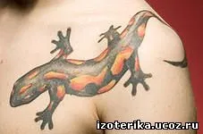 Jelentése tattoo „szalamandra”