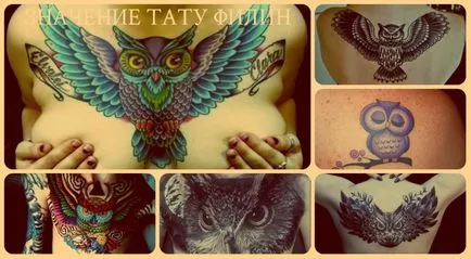 Înțeles bufniță tatuaj istorie, sensul și fotografii