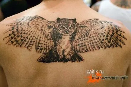 Jelentés bagoly tetoválás - tattoo kép