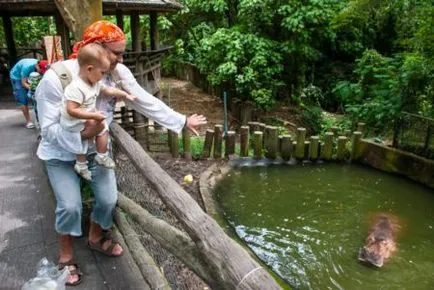 Zoo Khao kheo hogyan juthatunk el oda, és kihozni Pattaya magad