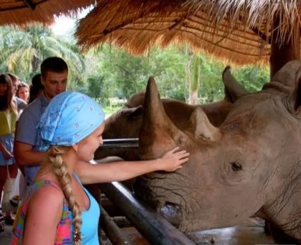 Zoo Khao kheo hogyan juthatunk el oda, és kihozni Pattaya magad