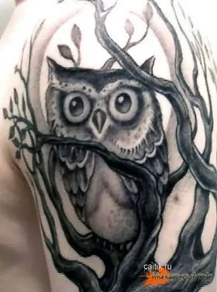 Jelentés bagoly tetoválás - tattoo kép