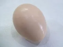 Pulbere de coajă de ou cum să se pregătească de calciu natural