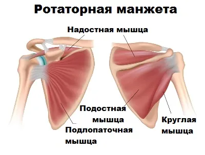 Deteriorarea tendonului supraspinatus